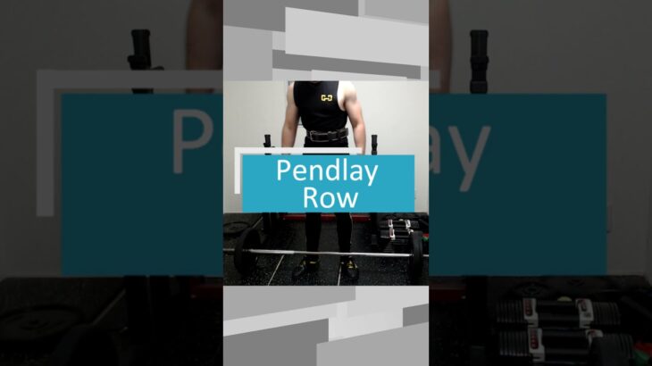 【ホームジム筋トレ】Pendlay Row | 背中と二頭筋を効率的に鍛えるペンドレイロウ