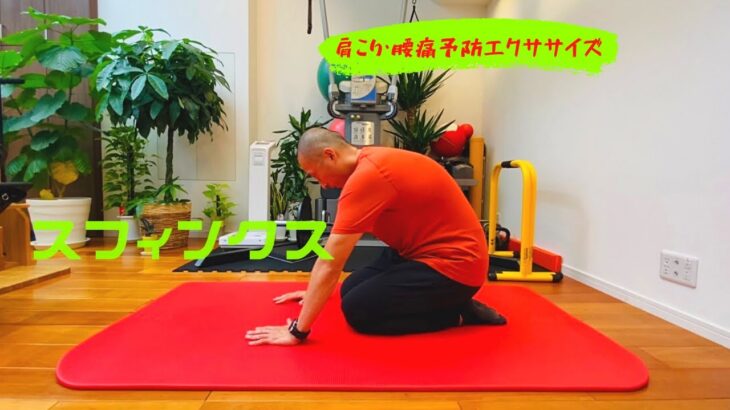 横浜筋トレスタジオがお勧めする肩こり・腰痛予防エクササイズ「スフィンクス」